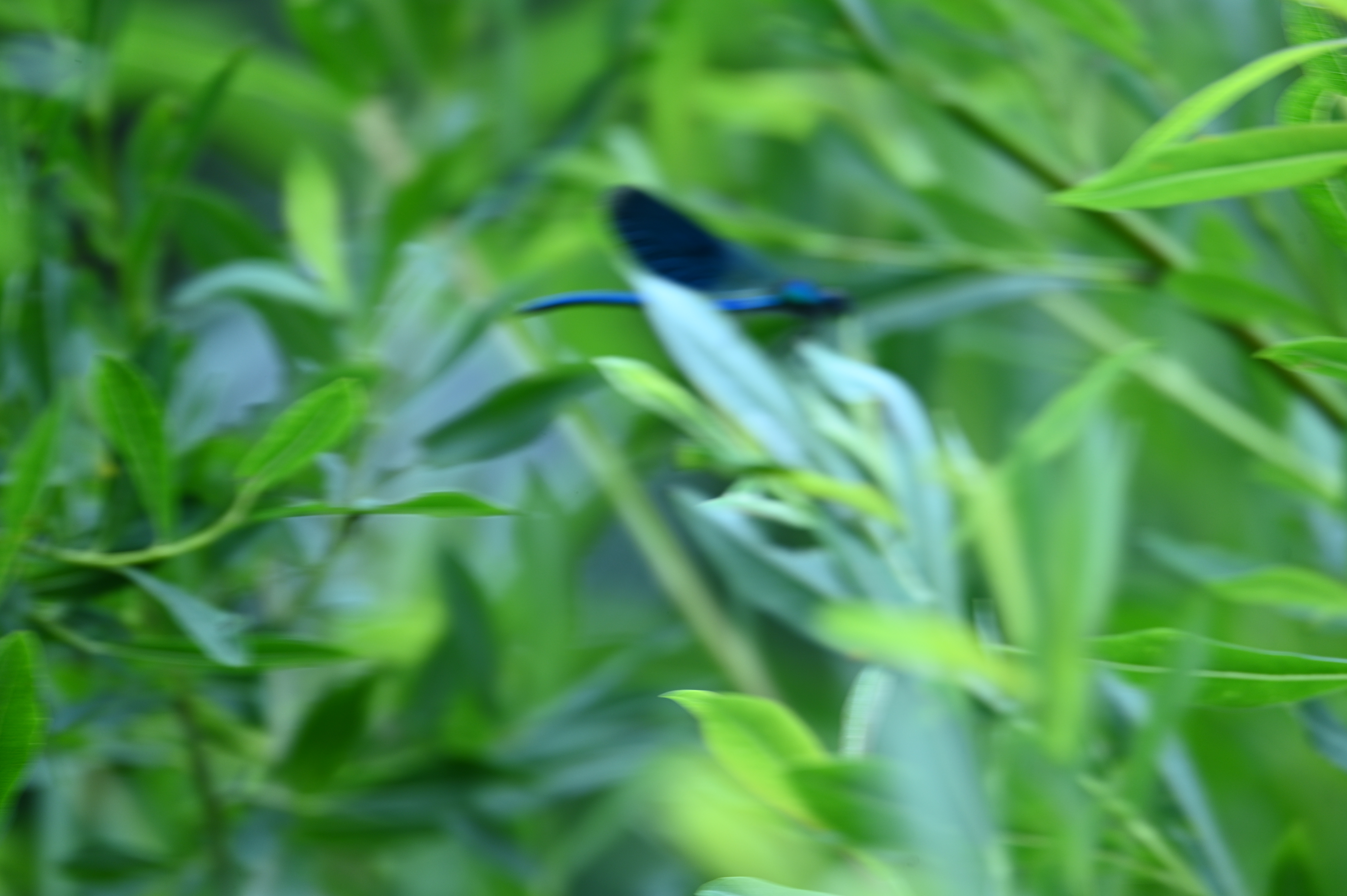 2025/07/09-14 - trip/DSC_0220.JPG